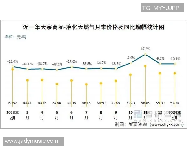 专业分析:液化天然气在区域市场的防守策略与应对措施
